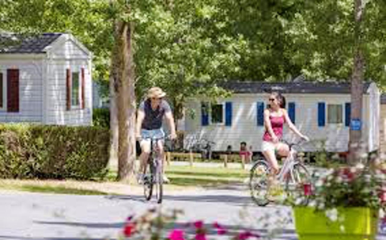 Bungalow Charmant Onzain + Piscine Eksteriør billede